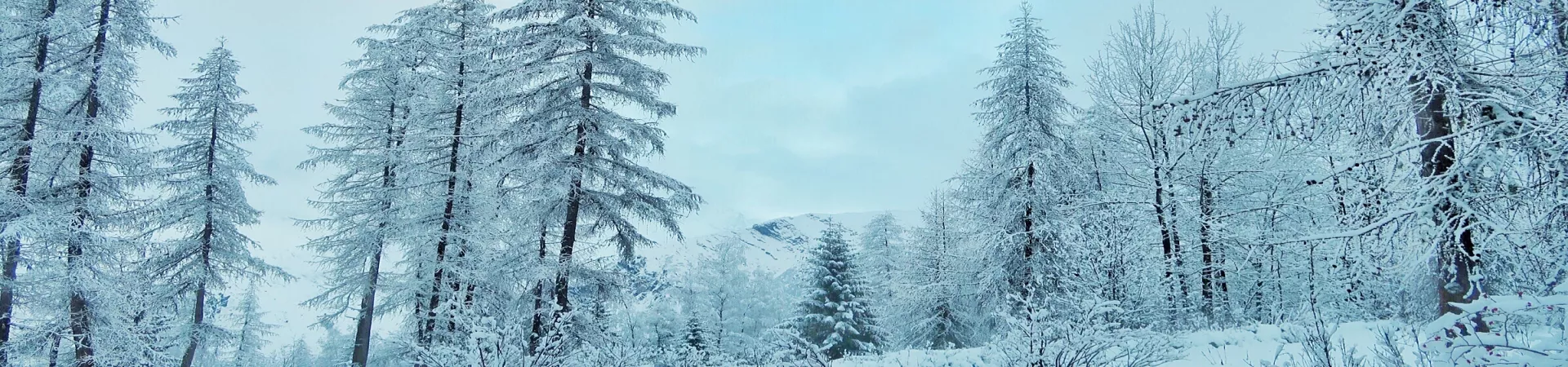 Top France Guide banner