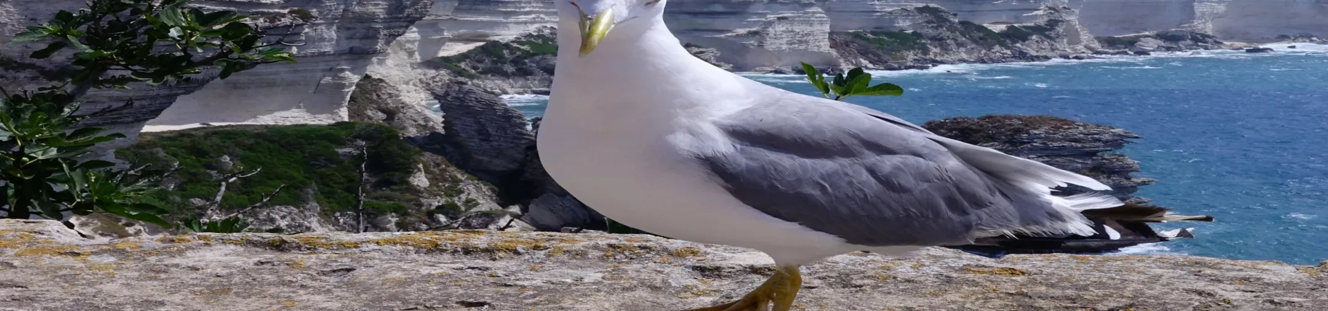 Top France Guide banner