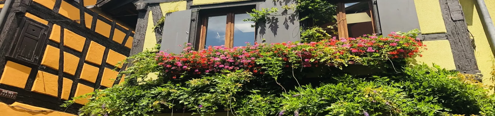 Top France Guide banner