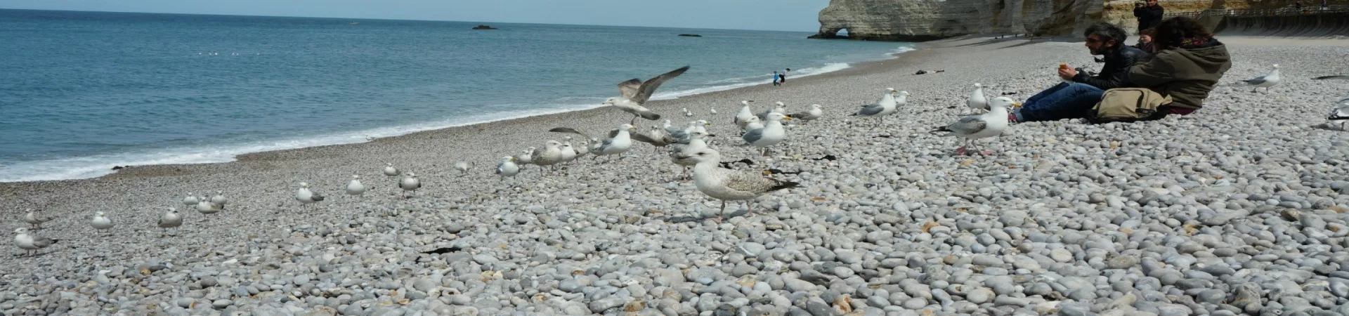 Top France Guide banner