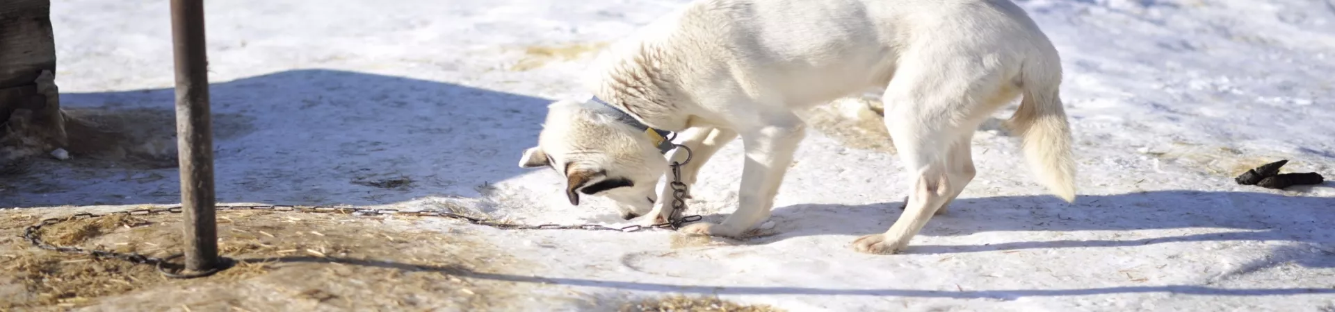 Top France Guide banner