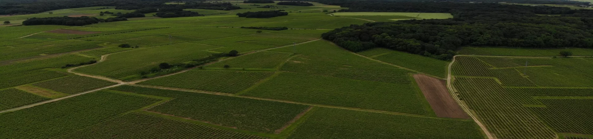 Top France Guide banner